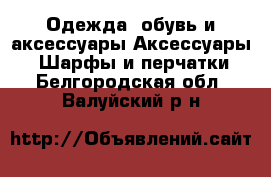 Одежда, обувь и аксессуары Аксессуары - Шарфы и перчатки. Белгородская обл.,Валуйский р-н